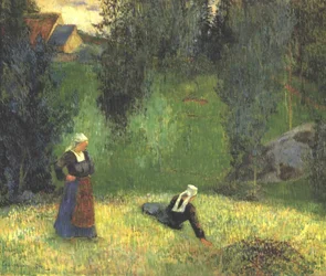 The First Flowers